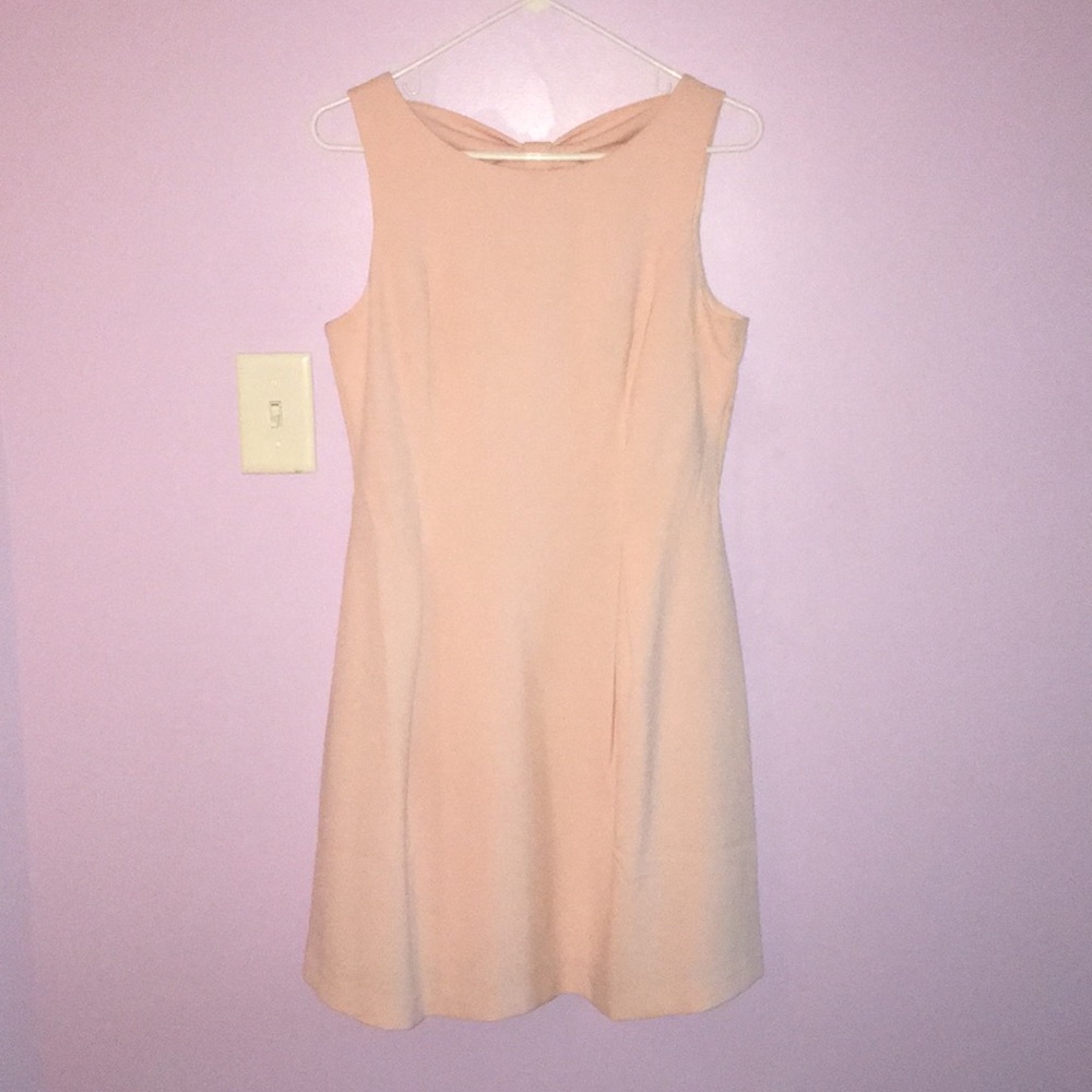 Blush Pink Dress